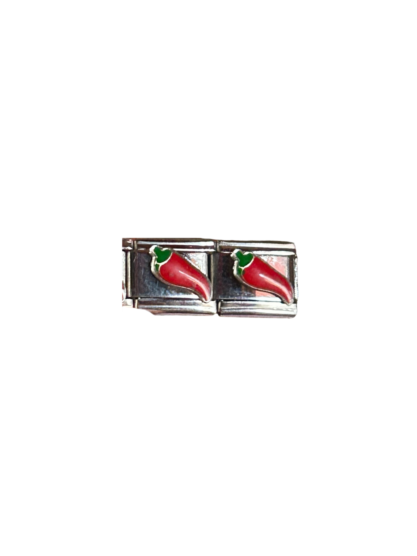 Silver Charms for ltalian Charm Bracelets| Theme: Nature 1 (price of each charm given)